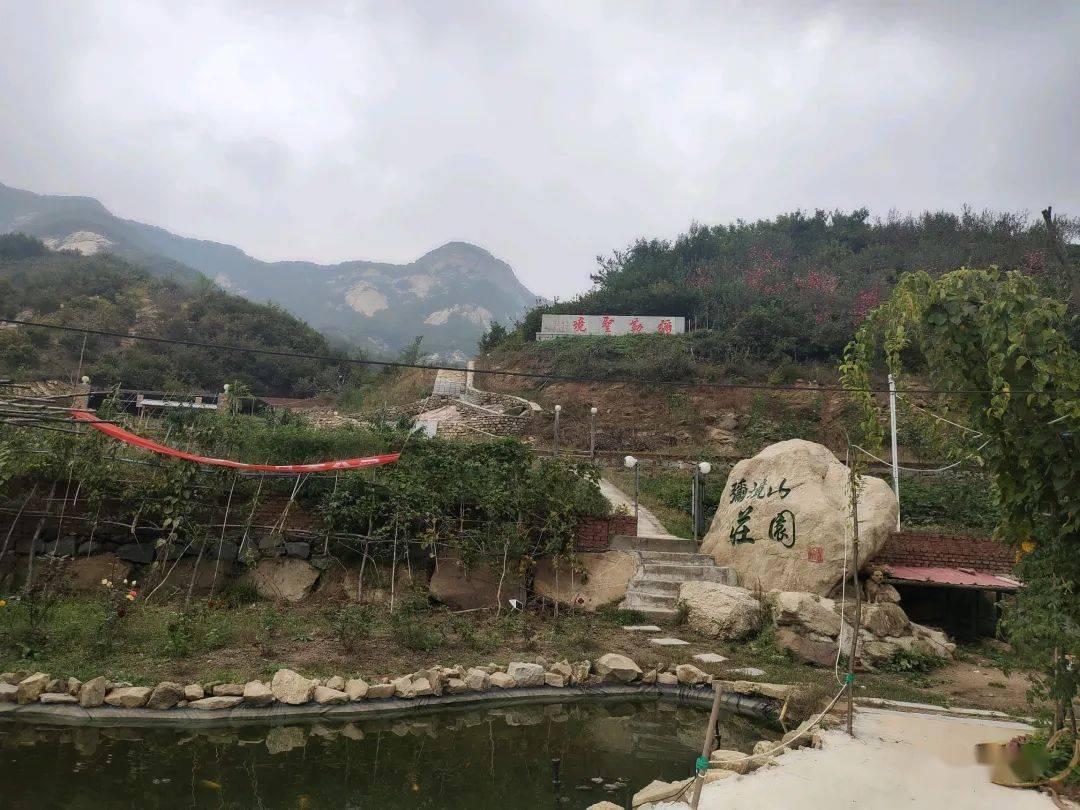 小猫钓鱼游戏龙王版有船